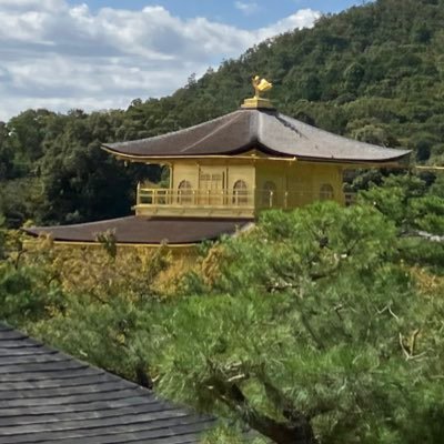 どね カーマインさんのプロフィール画像