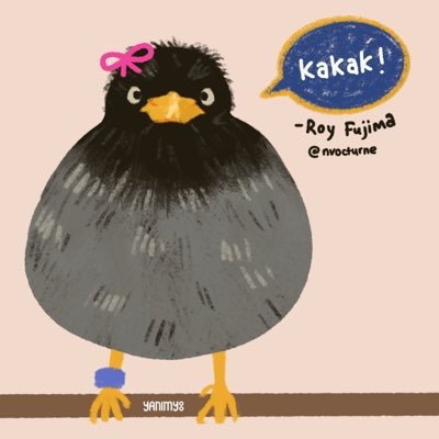 royfujima's profile picture. burung jalak kebo, jantan. // profile pic by: @yanimyoo