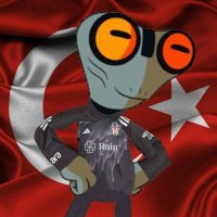 Beşiktaşlı Gri Madde(@BjkliGriMadde) 's Twitter Profile Photo