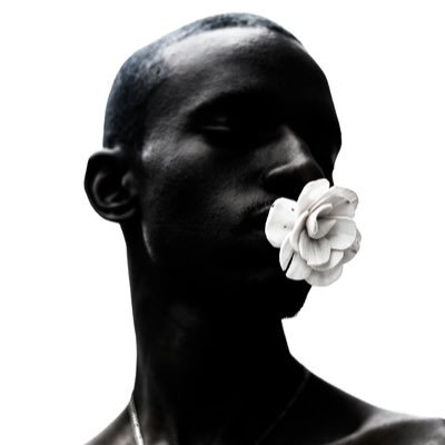 Shibukairay's profile picture. 