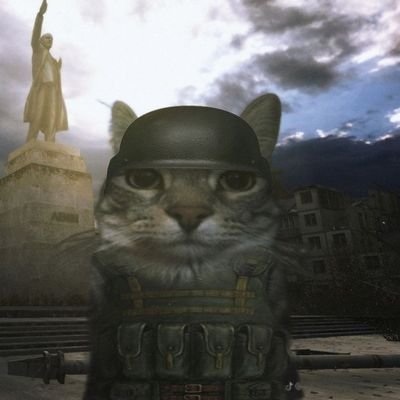 WikiMilitarPTBR Profile Picture