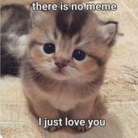 slerfsoie (@slerfsoie) 's Twitter Profile Photo