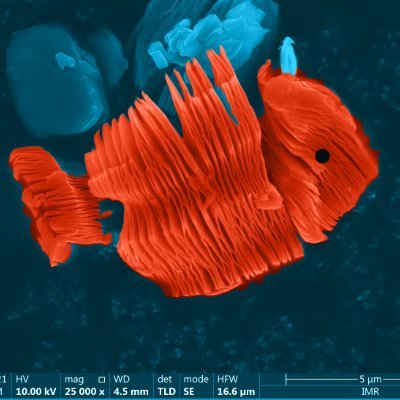 Postdoc Fellow @ Shenyang IMR of CAS, interested in MXene, Composites, and Multispectral EM protection