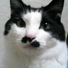 oMB77j7Sbz45296's profile picture. 