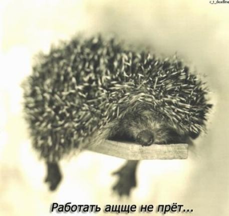 Koroleva_NV's profile picture. Разная, но всегда - Королева!  по совместительству корр.ИТАР-ТАСС