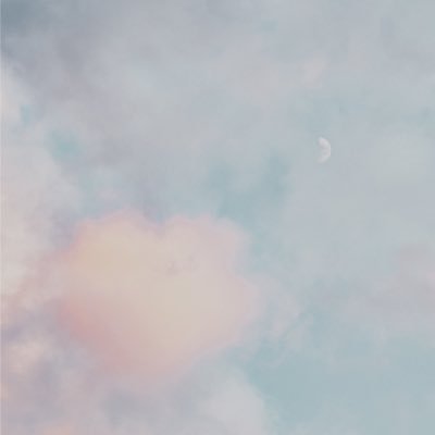 🫧推し活と生活🧺🧸💐