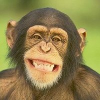 Operator4321s (@operator4321s) 's Twitter Profile Photo Operator4321s (@operator4321s) 's Twitter Profile Photo