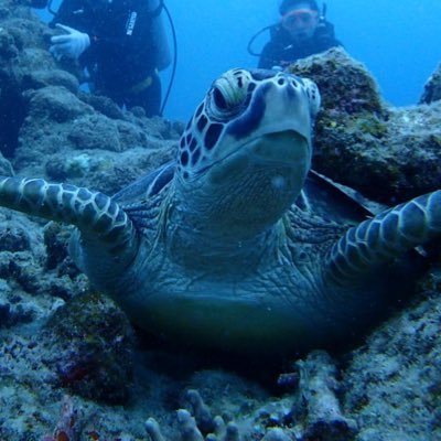 bokuno_ss's profile picture. ランニング🏃と水泳🏊で体を動かしたり、カフェ巡りやドライブ観光が趣味