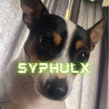 syphulx Profile Picture