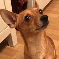 Azad46 (@azadali4694) 's Twitter Profile Photo