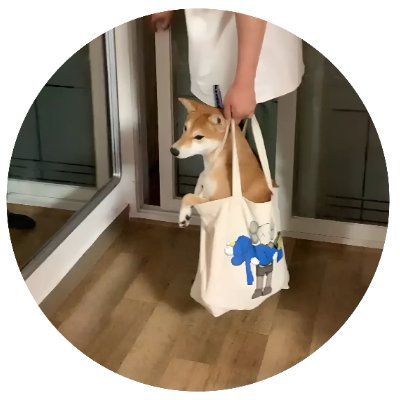 Dogwifbag