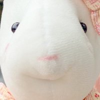 🪬たま🪬 (@kawa1_festival) 's Twitter Profile Photo 🪬たま🪬 (@kawa1_festival) 's Twitter Profile Photo