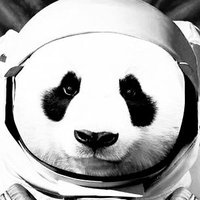 Panda15(@CryptoPanda15) 's Twitter Profile Photo