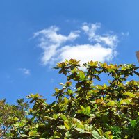 أبو سيف (@abusaif_19) Twitter profile photo