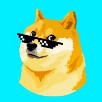 DogeDoge.SOL (@hodl2022) 's Twitter Profile
