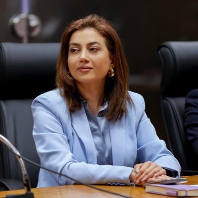 MP at the National Assembly of the Republic of Armenia, Presidenta de los Grupos de Amistad Armenia-España y Armenia-Guatemala