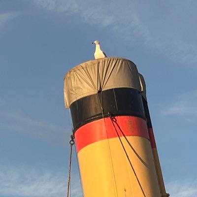 jordanamould's profile picture. 