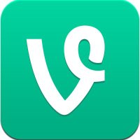 VINE (@vine_solana) 's Twitter Profile