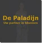 DePaladijnDr88's profile picture. Mijn passie is : Bloemen!