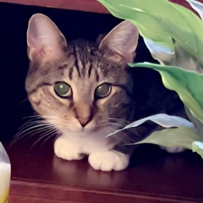 JillRoumph's profile picture. HAPPY/HOPE/LOVE😊😊😊