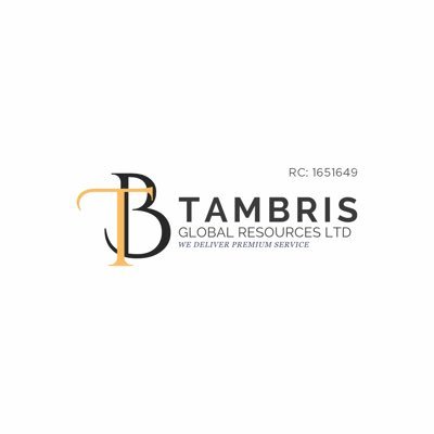 Tamdi11's profile picture. CEO OF TAMBRIS GROUP OF COMPANIES 🧰