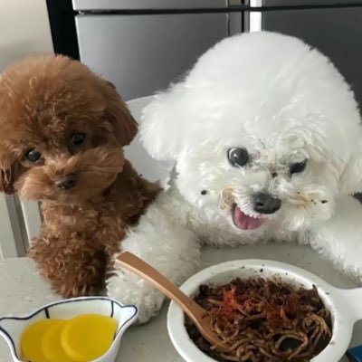 bB3iXBbF5a50391's profile picture. 