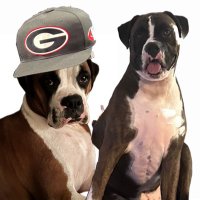 Kate Tyler (@verykate45) 's Twitter Profile Photo Kate Tyler (@verykate45) 's Twitter Profile Photo