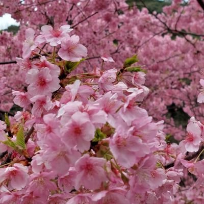 シンママ～子育て頑張る👊✨
でも、恋愛もしたい❤😊