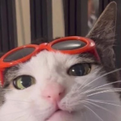 basrisarudin's profile picture. 