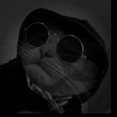 CloudHello26231's profile picture. HEY🌷