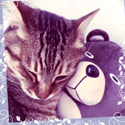 rkj1_w's profile picture. 三度の飯より🐈が好き(保護猫3匹飼い)👑🐃KingGnu👾東京ｴｲﾘｱﾝｽﾞ🍄憂炎🅿️POPMART🫶SKULLPANDA・CRYBABY・Molly🗼東京在住・昭和生まれ下町育ちの社会人BBA👵日常の呟き(ボヤキ多め)・アニメ・ポプ活・ALPHAZに片足突っ込み中👽💚