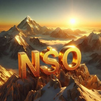 crypto currency to the moon NeverSurrenderOne’s 🇺🇸 🇺🇸 @NSO_NevSrndr $NSO #Shiller. #Raider. #Promoter. #investor