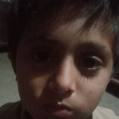 ch_koli33620's profile picture. 