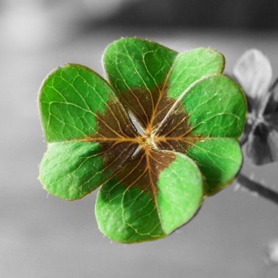 dititrading's profile picture. (🧙‍♂️,🧙‍♂️) gnoma