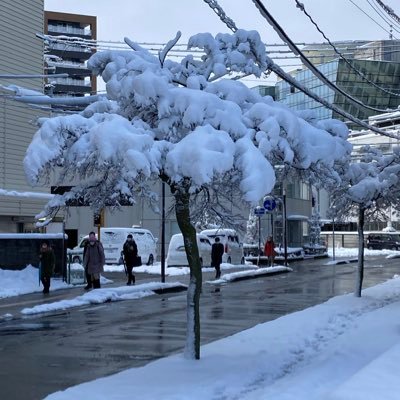 沖縄で表象工房というソロユニットをつくりはじめました。 日々の出来事と創作(小説•脚本等)のことなど・・色んなジャンルが好きです。名前など模索中です。仲良くしてもらえると嬉しいです。大正/70,80年代/廃墟/ビル インスタ→ https://t.co/qYVVuC9qc1
