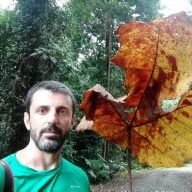 David Costantini (@davidzool) 's Twitter Profile Photo David Costantini (@davidzool) 's Twitter Profile Photo