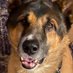Snifflersmom15 (@snifflersmom77) Twitter profile photo Snifflersmom15 (@snifflersmom77) Twitter profile photo
