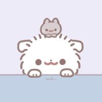 みこと (@mkto_o0) 's Twitter Profile
