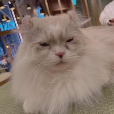 yanaojp's profile picture. Network engineerです。 NFV、Lossless Ethernet、NW自動化、SRv6など浅く広く？やってます。repost多めです☺︎