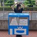 のぎわ はるな (@1116_haruna) Twitter profile photo のぎわ はるな (@1116_haruna) Twitter profile photo