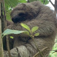 Dan (@dmgisright) 's Twitter Profile