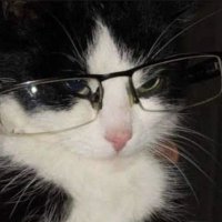 daniel (@pachhif) 's Twitter Profile