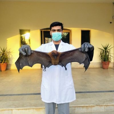 Zoologist 🦇, Ecologist / Wildlife Conservationist, Working on the conservation of Indian Flying fox, Fruit Bats🦇