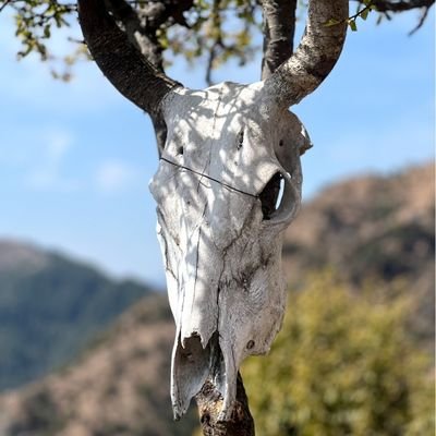 FranzKafka72403's profile picture. feminist 
narcissistic 
selfish
nihilism