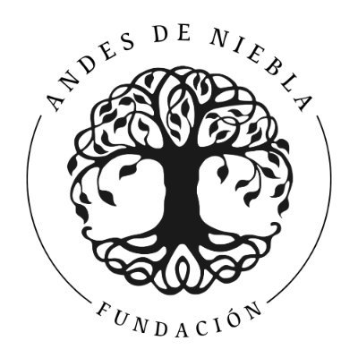 Simbiosis entre comunidades, la academia e instituciones, para proteger-regenerar el Bosque de Niebla donde nacen las quebradas de la cuenca baja del Río Bogotá