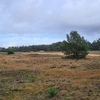 wandelaar, fietser,natuur liefhebber. 
Drenthe/Friesland/Overijssel