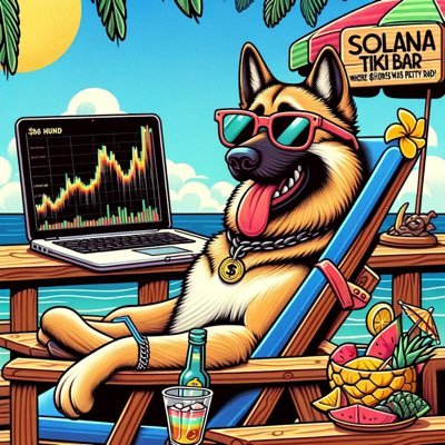 arasgolun's profile picture. 