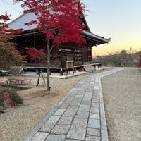 nao (@nao53286710) 's Twitter Profile