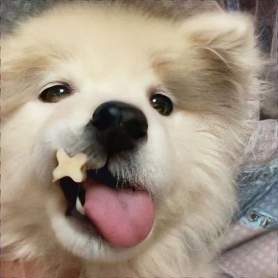 PKeke04's profile picture. ขอให้สดใสเหมือนดอกทานตะวัน🌻☀️