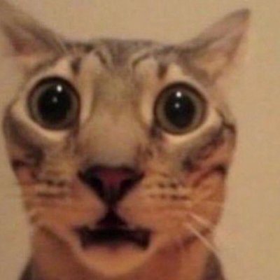 sillybutchdyke's profile picture. they banning porn on everything now Damn . fuck twitter but im here (18+)